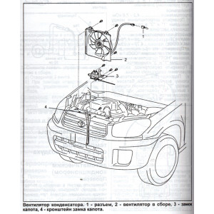 TOYOTA RAV 4 2000-2005 бензин (праворульные модели 2WD/4WD). Книга по ремонту и эксплуатации